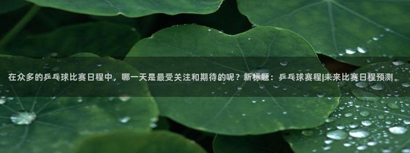在众多的乒乓球比赛日程中，哪一天是最受关注和期待的呢？新标题