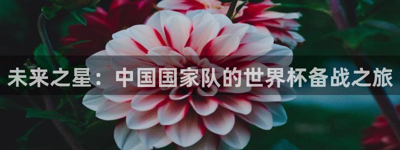 中欧体育平台网址