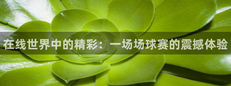 中欧体育在线登录入口官网版的功能介绍：在线世界中的精彩：一场