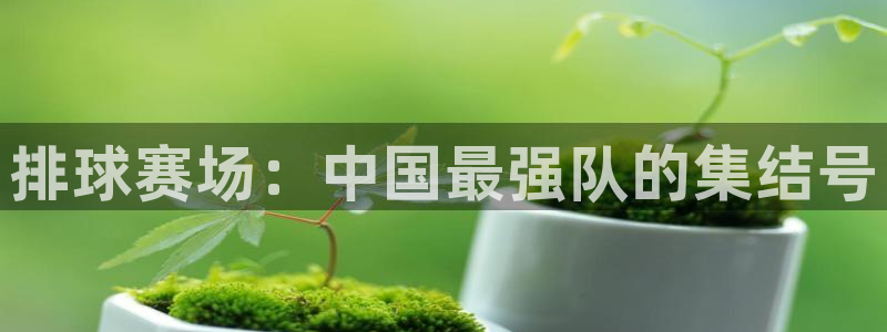 中欧体育app下载安装手机版苹果：排球赛场：中国最强队的集结