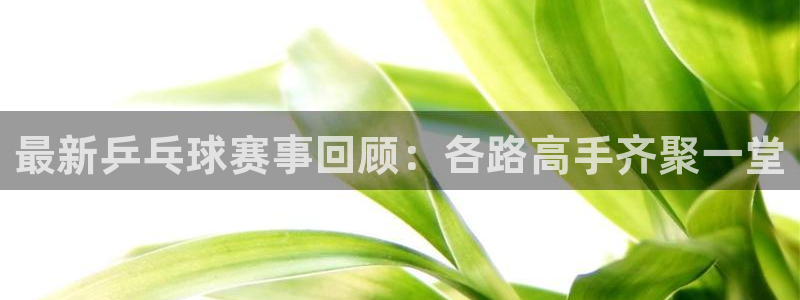中欧体育平台优势：最新乒乓球赛事回顾：各路高手齐聚一堂