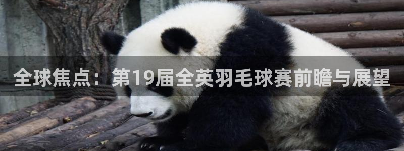 中欧体育改名了吗：全球焦点：第19届全英羽毛球赛前瞻与展望