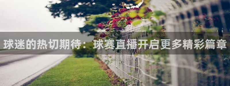 中欧体育登陆入口网址：球迷的热切期待：球赛直播开启更多精彩篇