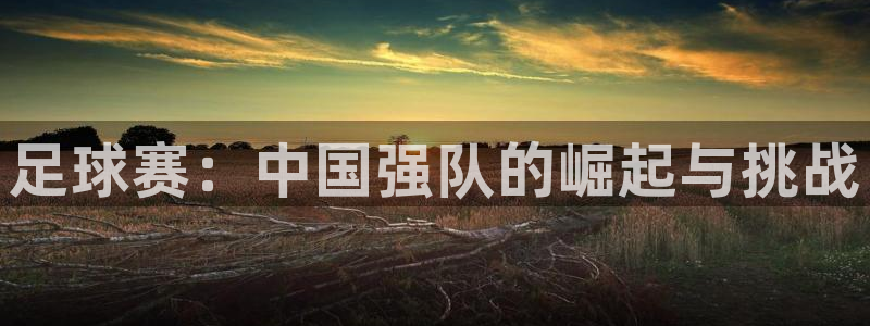 中欧体育下载地址VIP入口：足球赛：中国强队的崛起与挑战